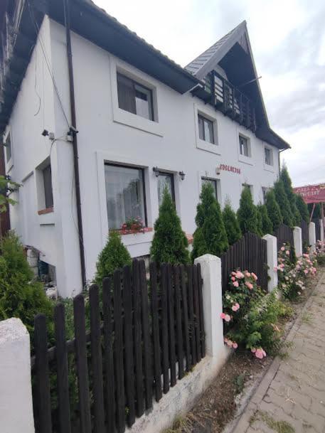 Camere De Inchiriat Edelweiss Dumbrava Roşie Exterior foto
